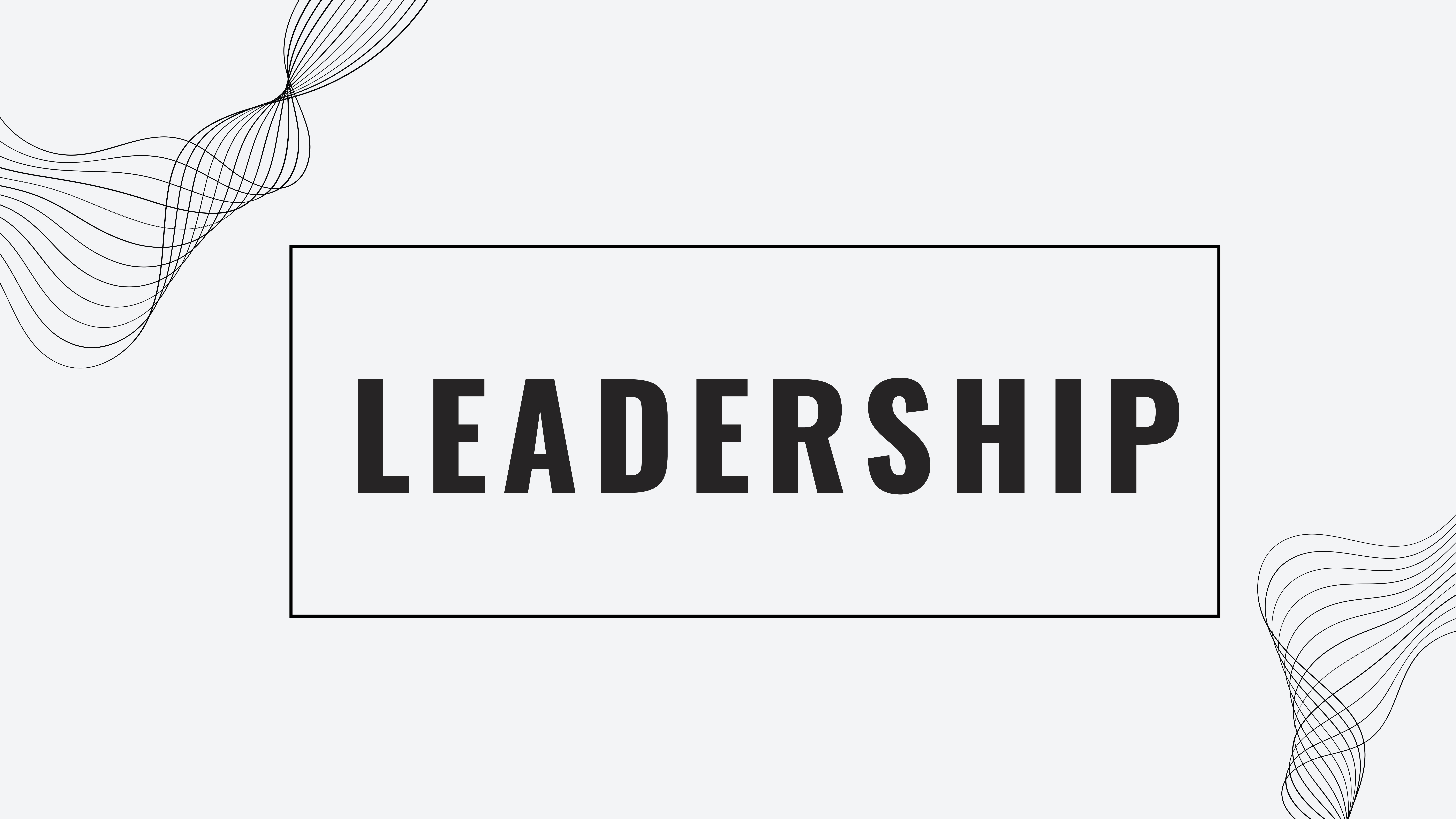 image of a leadership